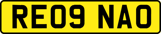 RE09NAO