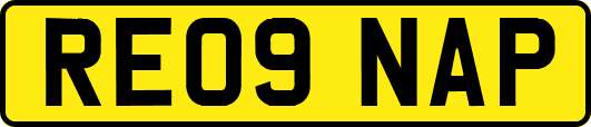RE09NAP