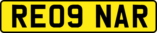 RE09NAR