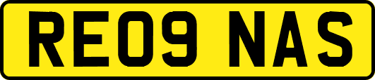 RE09NAS