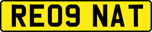 RE09NAT