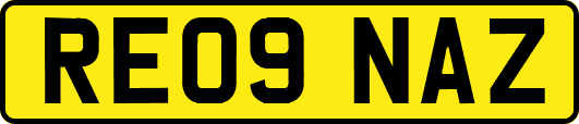 RE09NAZ
