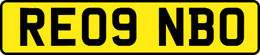 RE09NBO