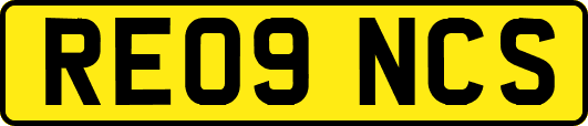 RE09NCS