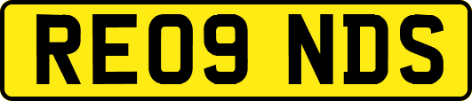 RE09NDS