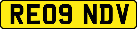 RE09NDV