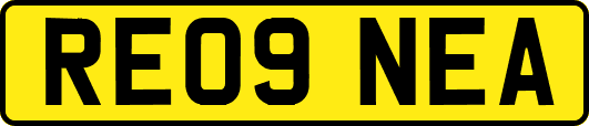 RE09NEA