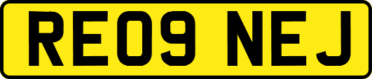 RE09NEJ