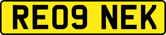 RE09NEK