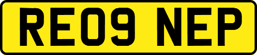 RE09NEP