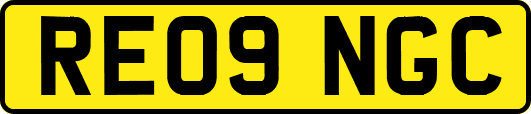 RE09NGC