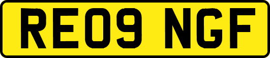 RE09NGF