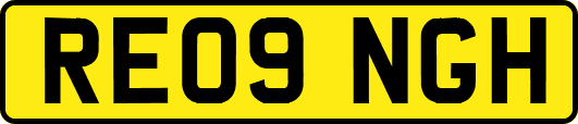 RE09NGH