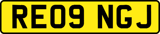 RE09NGJ