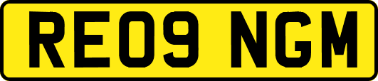 RE09NGM