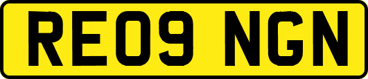 RE09NGN
