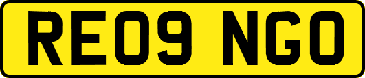 RE09NGO