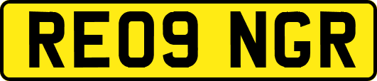 RE09NGR