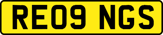 RE09NGS