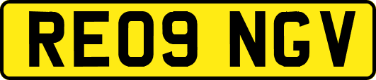 RE09NGV