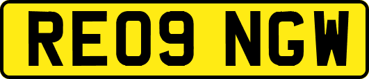 RE09NGW