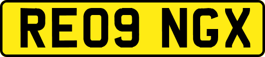 RE09NGX