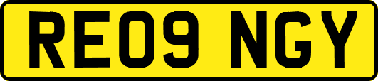 RE09NGY