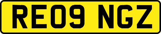 RE09NGZ