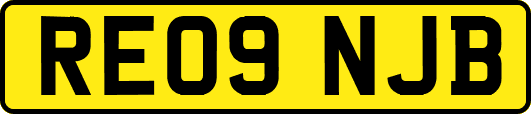 RE09NJB