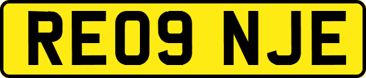RE09NJE