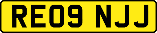RE09NJJ