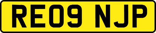 RE09NJP