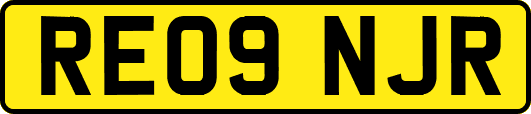 RE09NJR