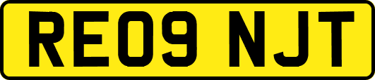 RE09NJT