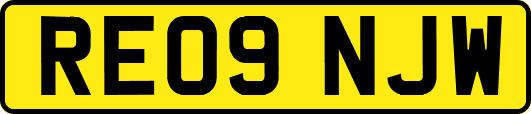 RE09NJW