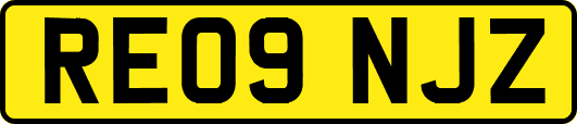 RE09NJZ