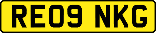 RE09NKG