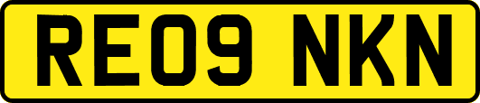 RE09NKN