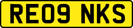 RE09NKS