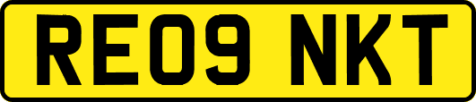 RE09NKT