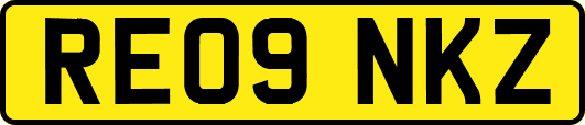 RE09NKZ