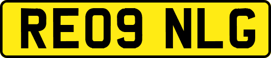 RE09NLG