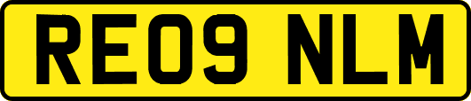 RE09NLM