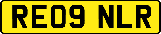 RE09NLR