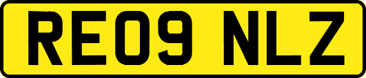 RE09NLZ