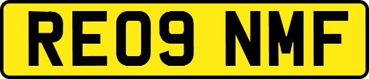RE09NMF