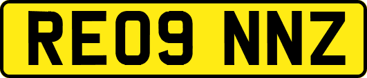 RE09NNZ