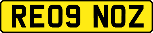 RE09NOZ