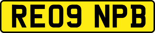RE09NPB