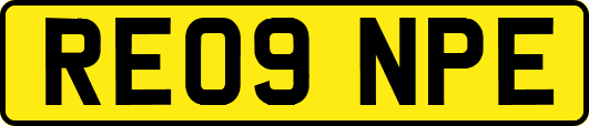 RE09NPE